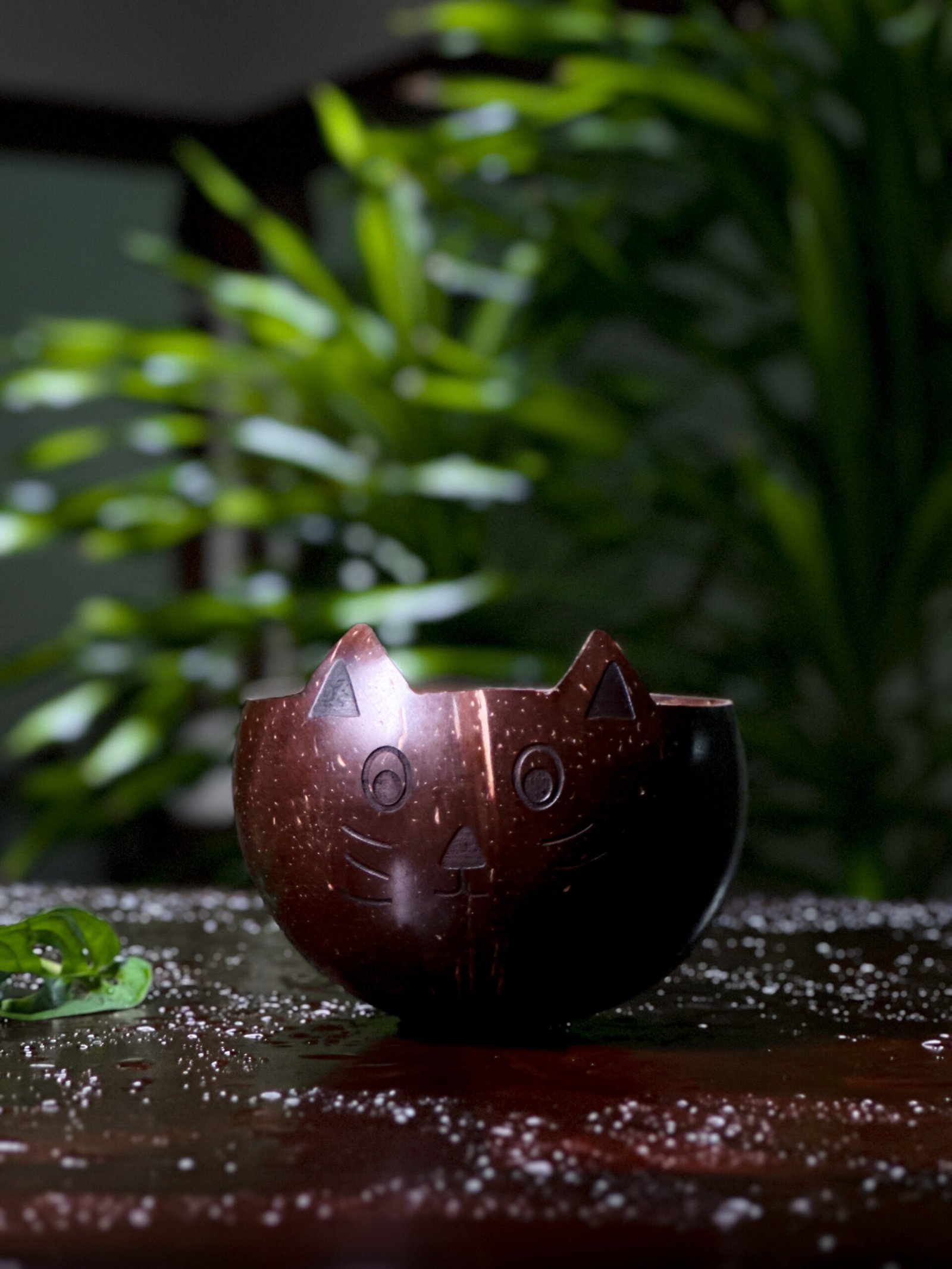Coconut Shell Animal Kids Bowl - CAT