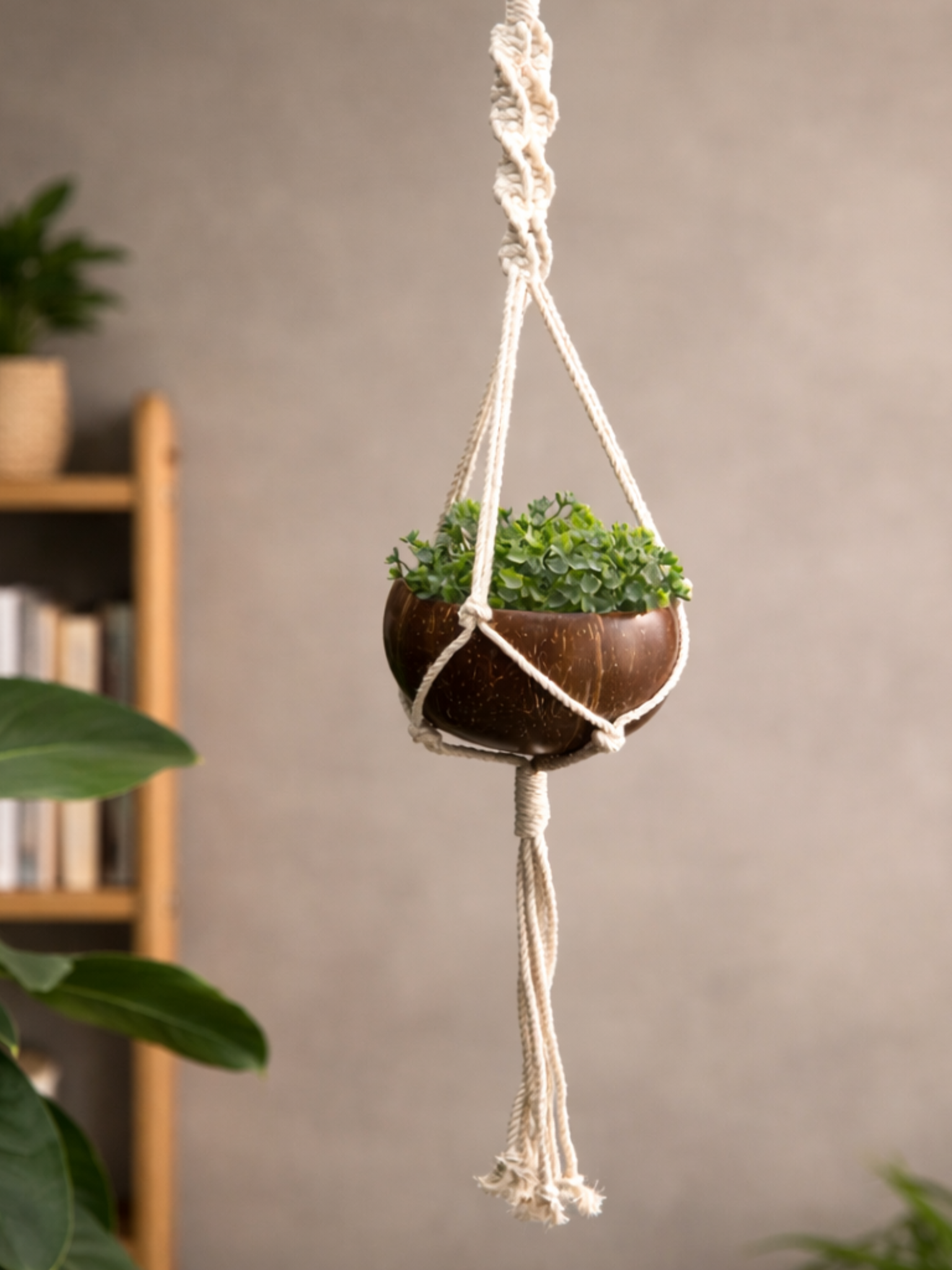 Macrame Plant Hanger & Pot
