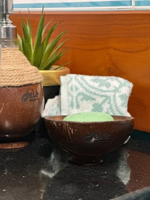 Coconut Shell Soap Dish